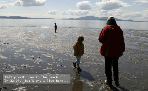 Bellingham Bay tide pools